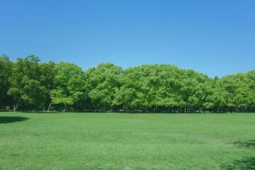 初期症状から急性期症状と病識の変遷